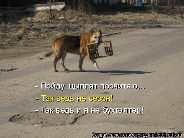 - Пойду, цыплят посчитаю... - Так ведь не сезон! - Так ведь и я не бухгалтер!... Котоматрица: - Пойду, цыплят посчитаю... - Так ведь не сезон! - Так ведь и я не бухгалтер!