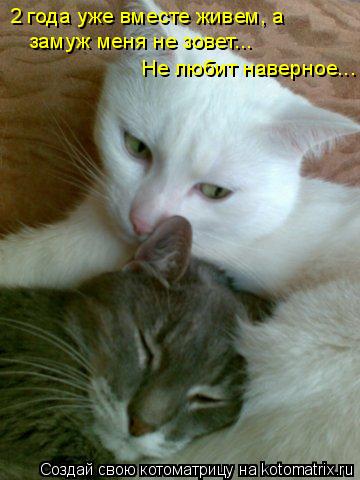 2 года уже вместе живем, а замуж меня не зовет... Не любит наверное...... Котоматрица: 2 года уже вместе живем, а замуж меня не зовет... Не любит наверное...