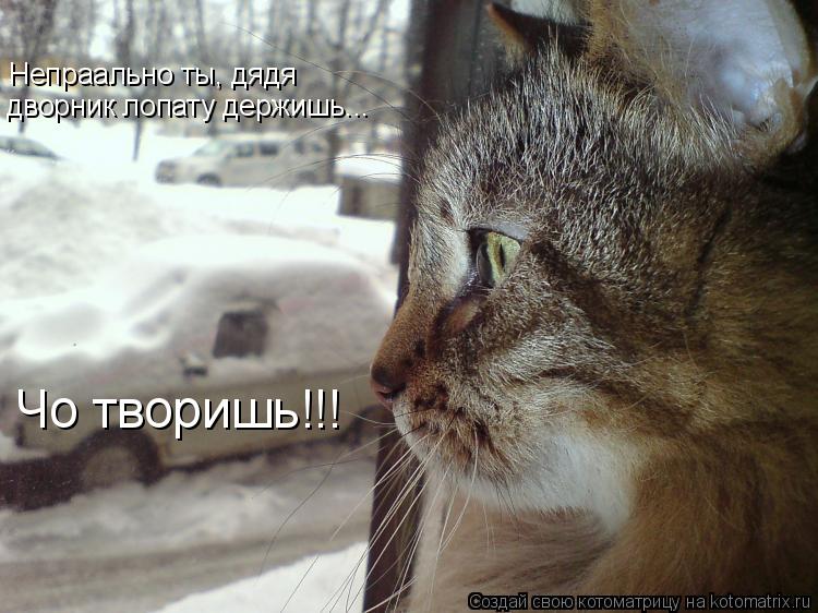 Непраально ты, дядя дворник лопату держишь... Чо творишь!!!... Котоматрица: Непраально ты, дядя дворник лопату держишь... Чо творишь!!!