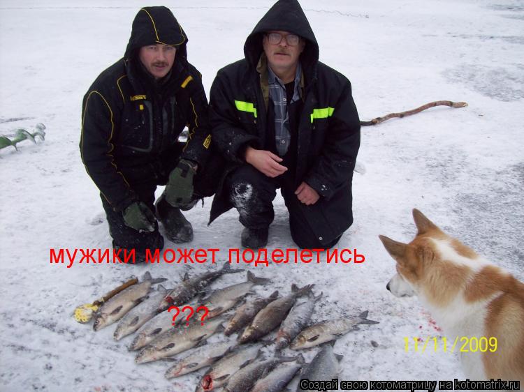 мужики может поделетись ???... Котоматрица: мужики может поделетись ???