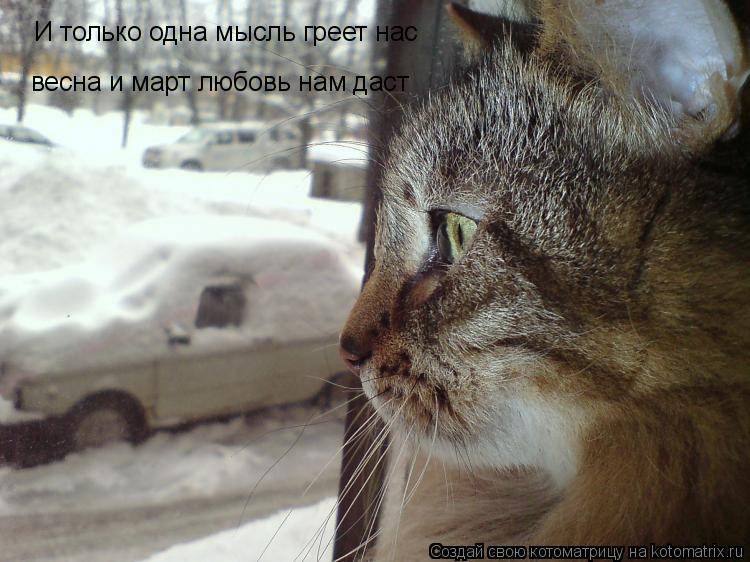 И только одна мысль греет нас весна и март любовь нам даст... Котоматрица: И только одна мысль греет нас весна и март любовь нам даст