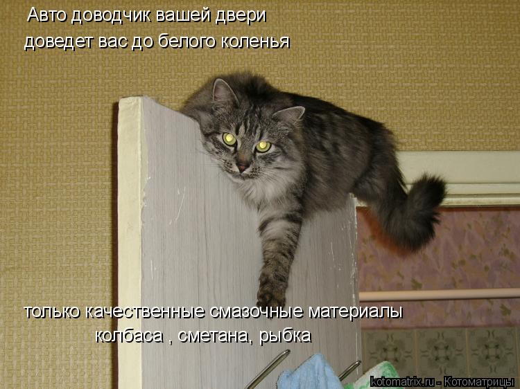 Авто доводчик вашей двери Авто доводчик вашей двери доведет вас до белого коленья только качественны... Котоматрица: Авто доводчик вашей двери Авто доводчик вашей двери доведет вас до белого коленья только качественные смазочные материалы колбаса , смет
