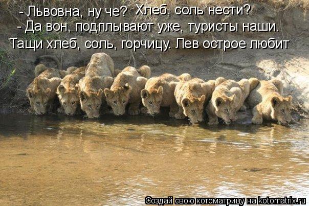 http://kotomatrix.ru/images/lolz/2010/02/12/485856.jpg