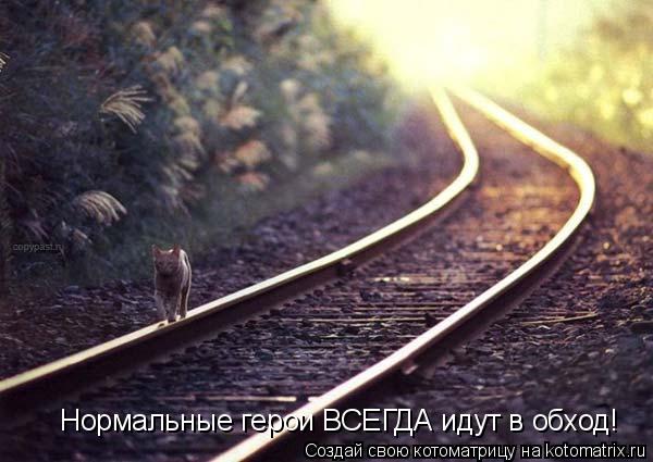 Нормальные герои ВСЕГДА идут в обход!... Котоматрица: Нормальные герои ВСЕГДА идут в обход!