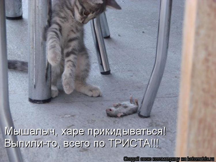 Мышалыч, харе прикидываться! Выпили-то, всего по ТРИСТА!!!... Котоматрица: Мышалыч, харе прикидываться! Выпили-то, всего по ТРИСТА!!!