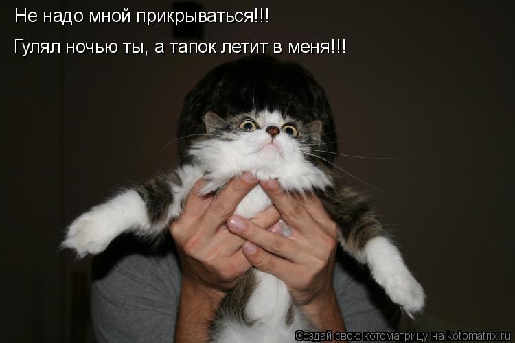 Котоматрица: Не надо мной прикрываться!!! Гулял ночью ты, а тапок летит в меня!!!