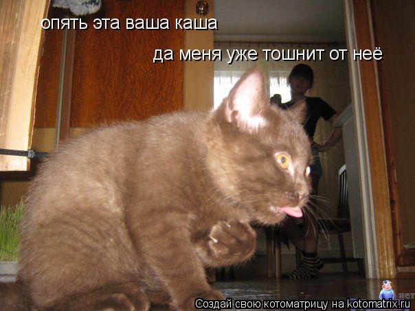 Котоматрица: опять эта ваша каша да меня уже тошнит от неё