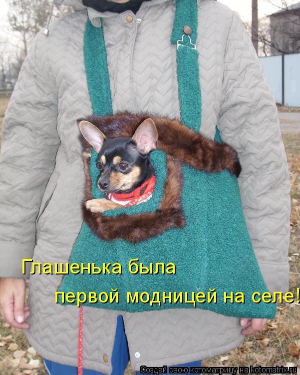 Глашенька была первой модницей на селе!... Котоматрица: Глашенька была первой модницей на селе!