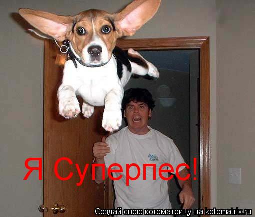 Я Суперпес!... Котоматрица: Я Суперпес!