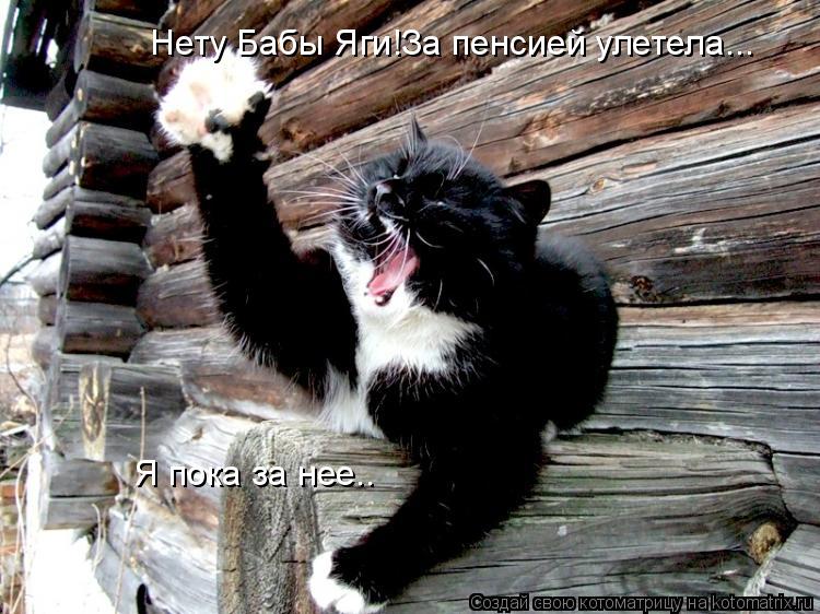 Нету Бабы Яги!За пенсией улетела... Я пока за нее..... Котоматрица: Нету Бабы Яги!За пенсией улетела... Я пока за нее..