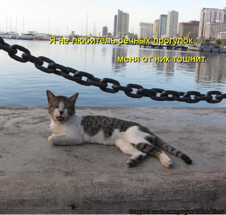 Я не любитель речных прогулок.. меня от них тошнит.... Котоматрица: Я не любитель речных прогулок.. меня от них тошнит.