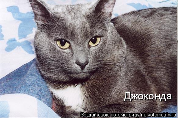 Джоконда... Котоматрица: Джоконда
