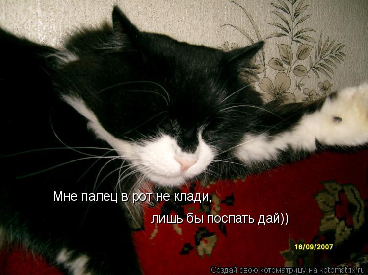 Мне палец в рот не клади, лишь бы поспать дай))... Котоматрица: Мне палец в рот не клади, лишь бы поспать дай))