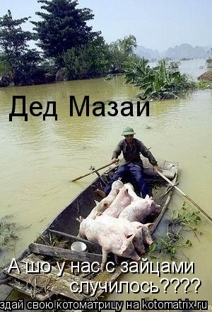 Дед Мазай А шо у нас с зайцами случилось????... Котоматрица: Дед Мазай А шо у нас с зайцами случилось????