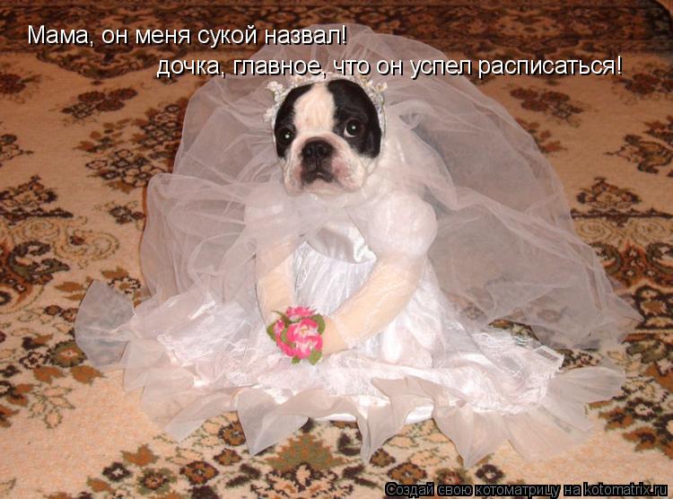 Мама, он меня сукой назвал! дочка, главное, что он успел расписаться!... Котоматрица: Мама, он меня сукой назвал! дочка, главное, что он успел расписаться!