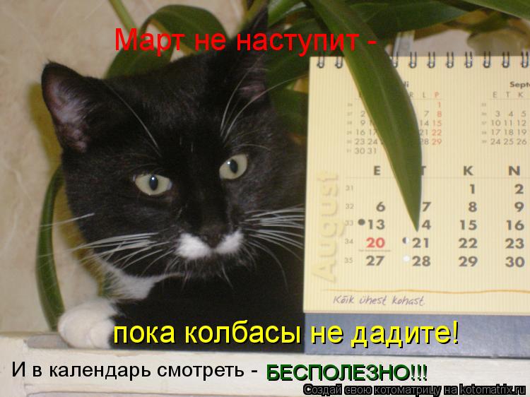 Март не наступит - пока колбасы не дадите! И в календарь смотреть - БЕСПОЛЕЗНО!!!... Котоматрица: Март не наступит - пока колбасы не дадите! И в календарь смотреть - БЕСПОЛЕЗНО!!!