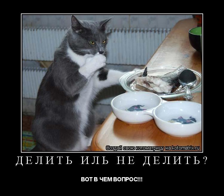 ДЕЛИТЬ ИЛЬ НЕ ДЕЛИТЬ? ВОТ В ЧЕМ ВОПРОС!!!... Котоматрица: ДЕЛИТЬ ИЛЬ НЕ ДЕЛИТЬ? ВОТ В ЧЕМ ВОПРОС!!!