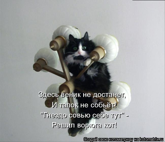 Котоматрица: Здесь веник не достанет,  И тапок не собьёт! "Гнездо совью себе тут" - Решил ворюга кот!