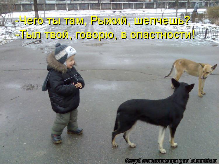 -Тыл твой, говорю, в опастности! -Чего ты там, Рыжий, шепчешь?... Котоматрица: -Тыл твой, говорю, в опастности! -Чего ты там, Рыжий, шепчешь?