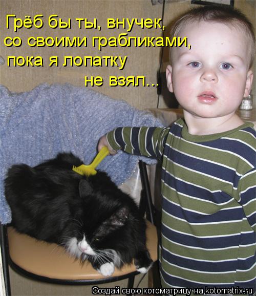 Котоматрица: Грёб бы ты, внучек, со своими грабликами, пока я лопатку не взял...