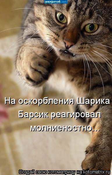 На оскорбления Шарика Барсик реагировал молниеностно...... Котоматрица: На оскорбления Шарика Барсик реагировал молниеностно...