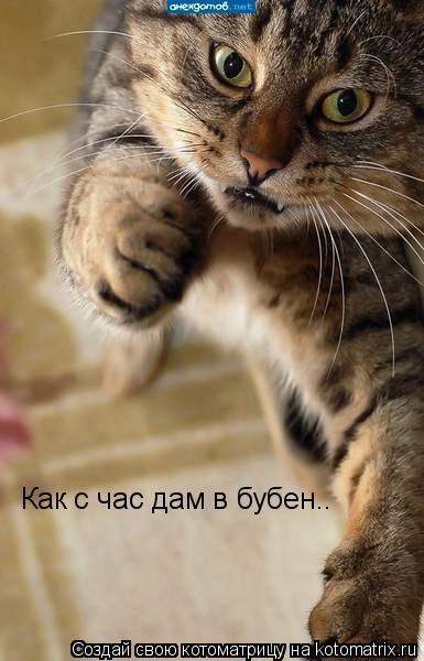 Как с час дам в бубен..... Котоматрица: Как с час дам в бубен..