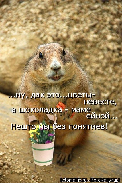 ...ну, дак это...цветы- невесте, а шоколадка - маме ейной... Нешто мы без понятиев!... Котоматрица: ...ну, дак это...цветы- невесте, а шоколадка - маме ейной... Нешто мы без понятиев!
