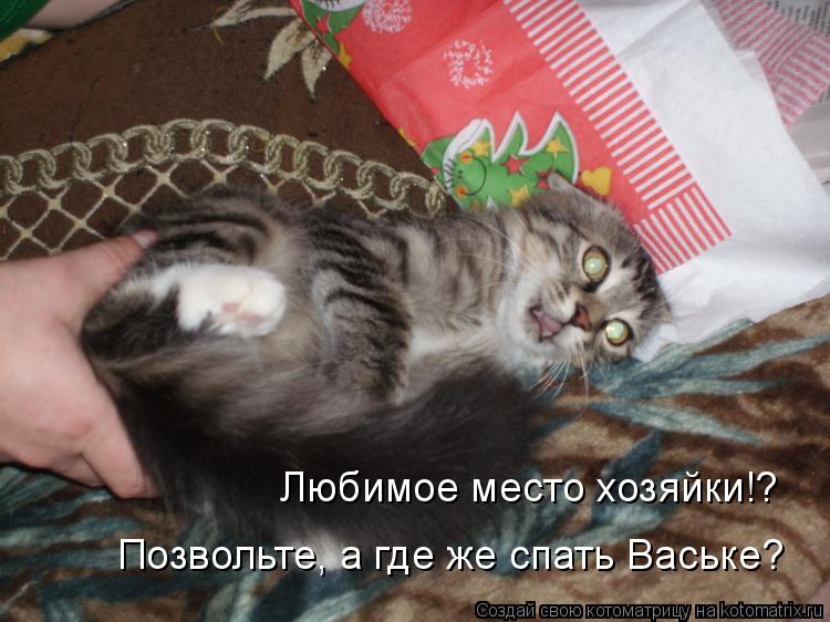 Любимое место хозяйки!? Позвольте, а где же спать Ваське?... Котоматрица: Любимое место хозяйки!? Позвольте, а где же спать Ваське?