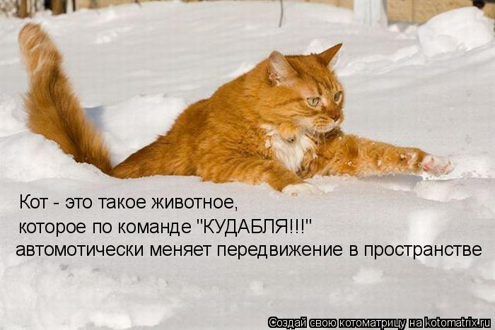 Кот - это такое животное, которое по команде "КУДАБЛЯ!!!" автомотически меняет передвижение в простра... Котоматрица: Кот - это такое животное, которое по команде "КУДАБЛЯ!!!" автомотически меняет передвижение в пространстве