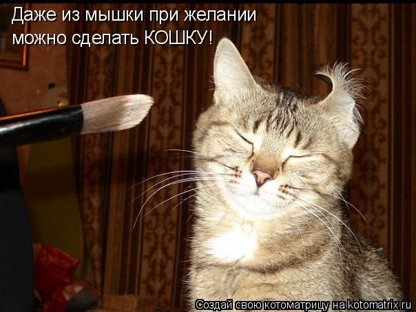 Даже из мышки при желании можно сделать КОШКУ!... Котоматрица: Даже из мышки при желании можно сделать КОШКУ!