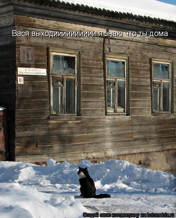 Вася выходииииииииии я знаю что ты дома... Котоматрица: Вася выходииииииииии я знаю что ты дома