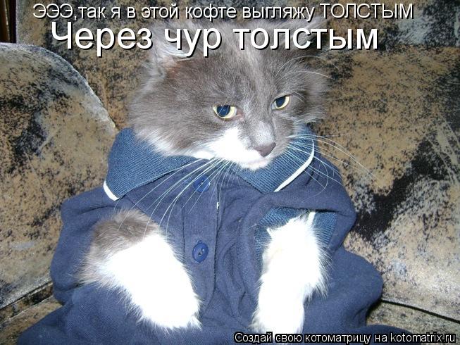 ЭЭЭ,так я в этой кофте выгляжу ТОЛСТЫМ Через чур толстым... Котоматрица: ЭЭЭ,так я в этой кофте выгляжу ТОЛСТЫМ Через чур толстым