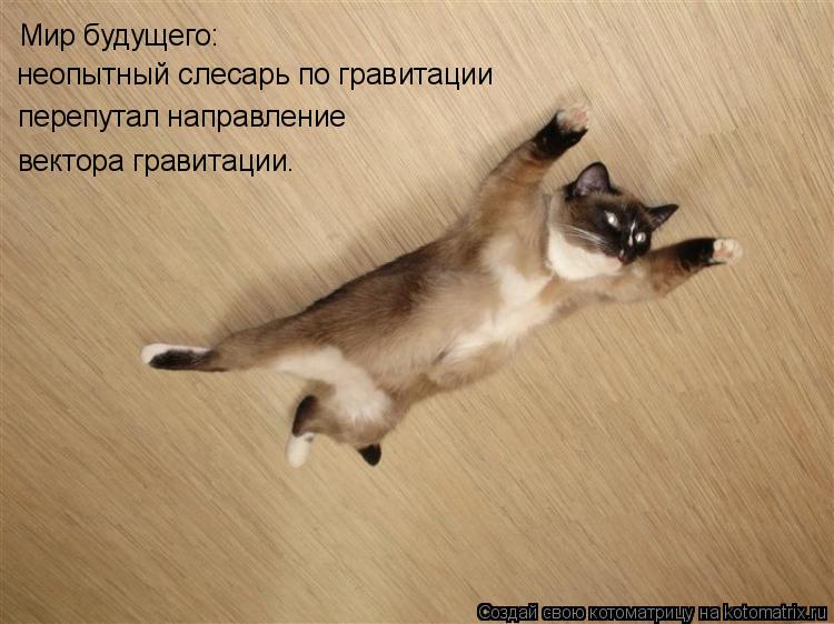 Мир будущего: неопытный слесарь по гравитации перепутал направление вектора гравитации.... Котоматрица: Мир будущего: неопытный слесарь по гравитации перепутал направление вектора гравитации.