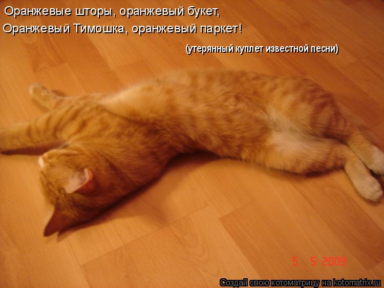 Оранжевые шторы, оранжевый букет, (утерянный куплет известной песни) Оранжевый Тимошка, оранжевый пар... Котоматрица: Оранжевые шторы, оранжевый букет, (утерянный куплет известной песни) Оранжевый Тимошка, оранжевый паркет!