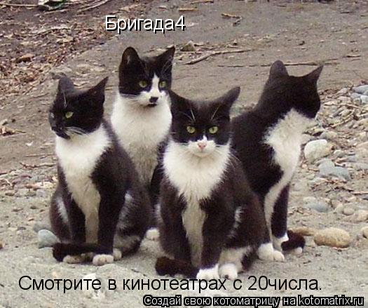 Котоматрица: Бригада4 Смотрите в кинотеатрах с 20числа.