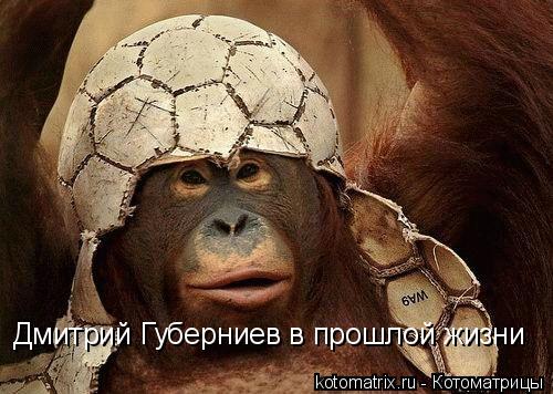Котоматрица: Дмитрий Губерниев в прошлой жизни