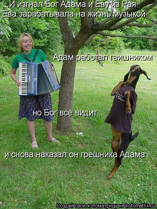 Котоматрица: ...И изгнал Бог Адама и Еву из Рая Ева зарабатывала на жизнь музыкой Адам работал гаишником но Бог всё видит... и снова наказал он грешника Ада