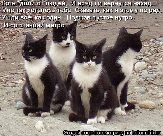 Коты ушли от людей, И вряд ли вернутся назад. Мне так хотелось тебе Сказать, как я этому не рад. ... Котоматрица: Коты ушли от людей, И вряд ли вернутся назад. Мне так хотелось тебе Сказать, как я этому не рад. Ушли все, как один, Поджав пустое нутро, И