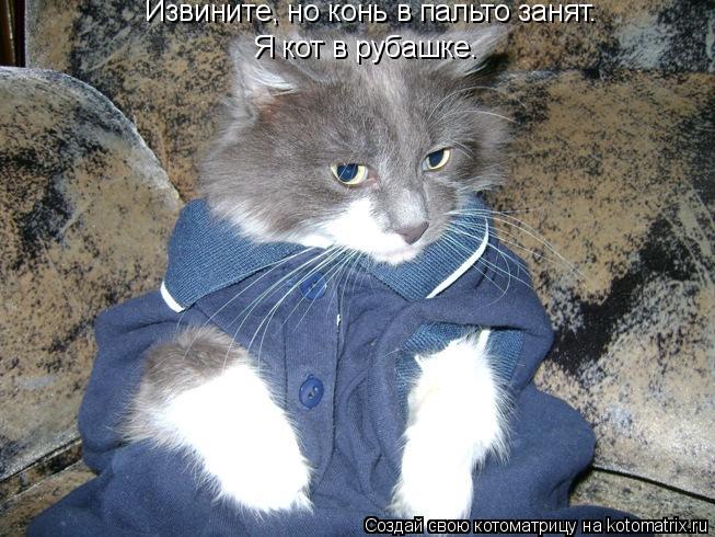 Извините, но конь в пальто занят. Я кот в рубашке.... Котоматрица: Извините, но конь в пальто занят. Я кот в рубашке.