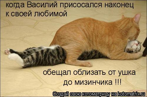 когда Василий присосался наконец к своей любимой обещал облизать от ушка до мизинчика !!!... Котоматрица: когда Василий присосался наконец к своей любимой обещал облизать от ушка до мизинчика !!!
