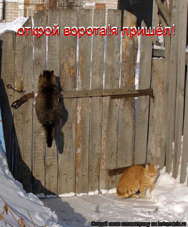 открой ворота!я пришёл! открой ворота!я пришёл!... Котоматрица: открой ворота!я пришёл! открой ворота!я пришёл!