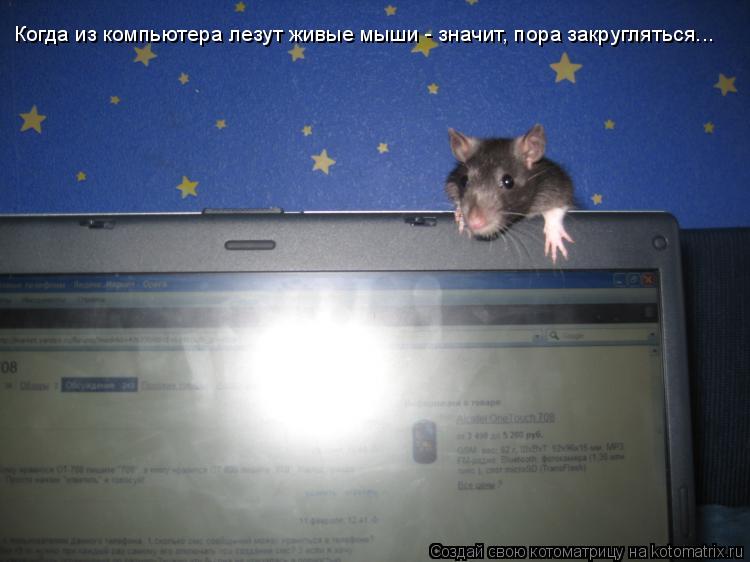 Когда из компьютера лезут живые мыши - значит, пора закругляться...... Котоматрица: Когда из компьютера лезут живые мыши - значит, пора закругляться...