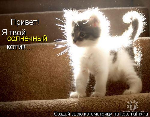 Привет! Я твой солнечный котик...... Котоматрица: Привет! Я твой солнечный котик...