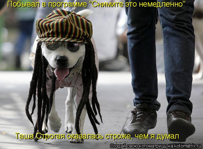 Побывал в программе "Снимите это немедленно" Таша Строгая оказалась строже, чем я думал... Котоматрица: Побывал в программе "Снимите это немедленно" Таша Строгая оказалась строже, чем я думал