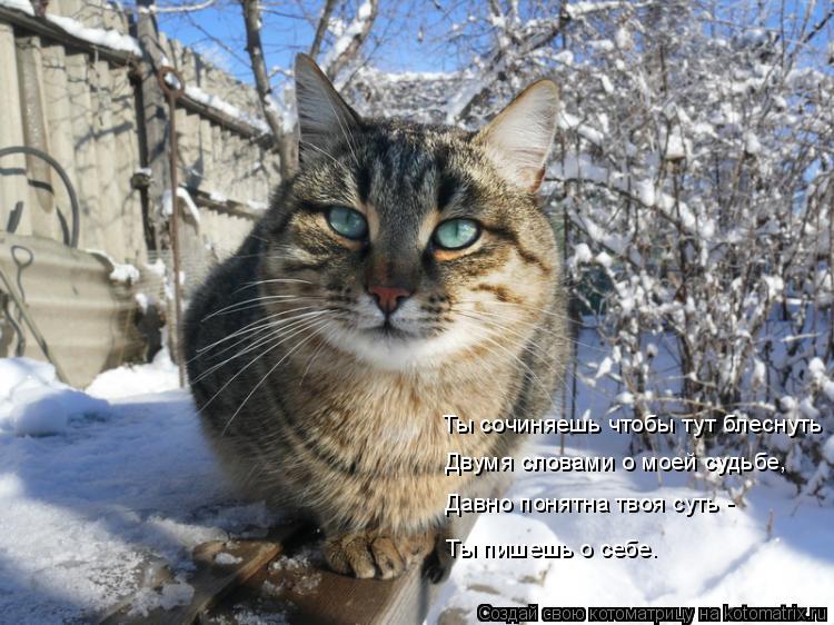 Котоматрица: Ты сочиняешь чтобы тут блеснуть Двумя словами о моей судьбе, Давно понятна твоя суть -  Ты пишешь о себе.