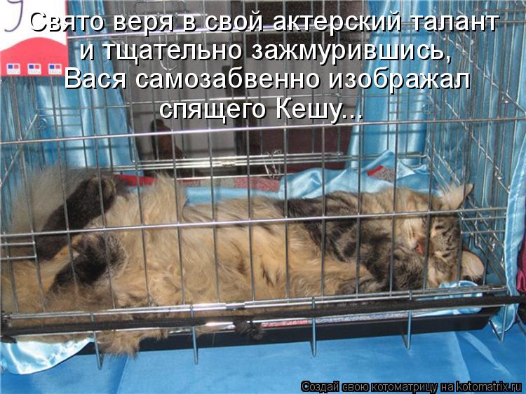 Котоматрица: Свято веря в свой актерский талант и тщательно зажмурившись, Вася самозабвенно изображал спящего Кешу...