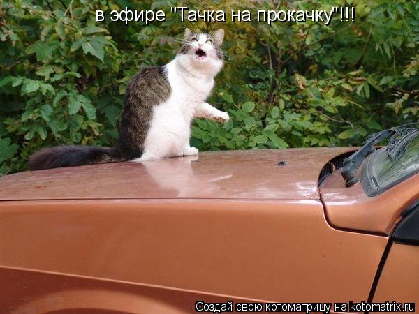 в эфире "Тачка на прокачку"!!!... Котоматрица: в эфире "Тачка на прокачку"!!!
