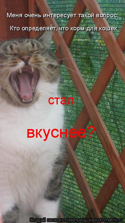 Меня очень интересует такой вопрос: Кто определяет, что корм для кошек стал вкуснее?... Котоматрица: Меня очень интересует такой вопрос: Кто определяет, что корм для кошек стал вкуснее?