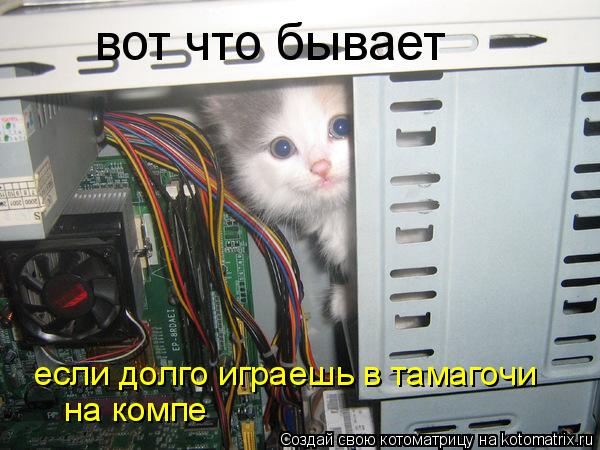 вот что бывает если долго играешь в тамагочи на компе... Котоматрица: вот что бывает если долго играешь в тамагочи на компе