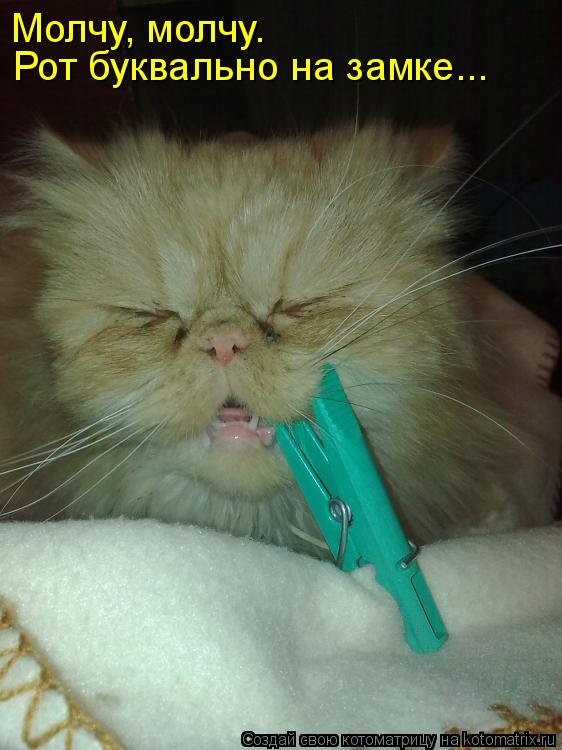 Молчу, молчу. Рот буквально на замке...... Котоматрица: Молчу, молчу. Рот буквально на замке...